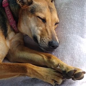 Meet your Posher, Emily gray